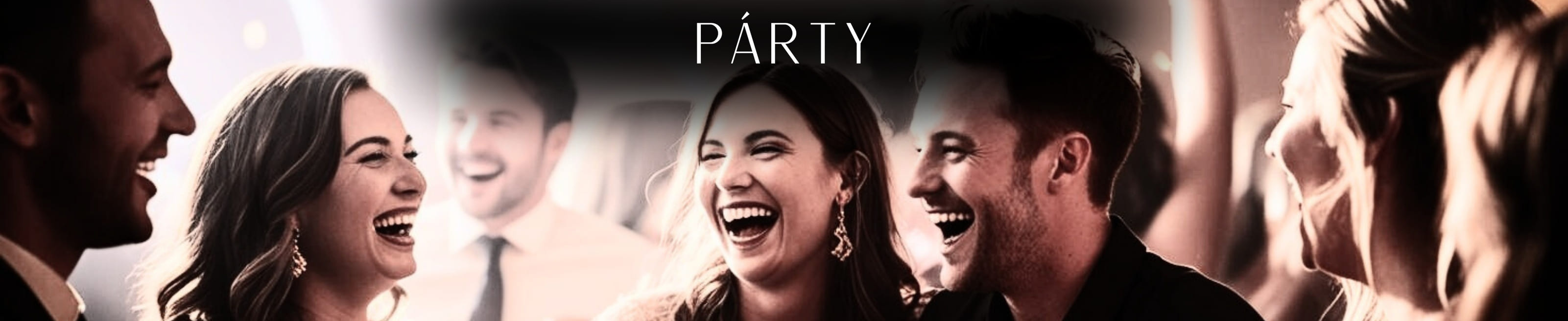 Party-baner-deskop