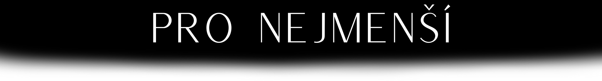 baner-pro-nejmensi