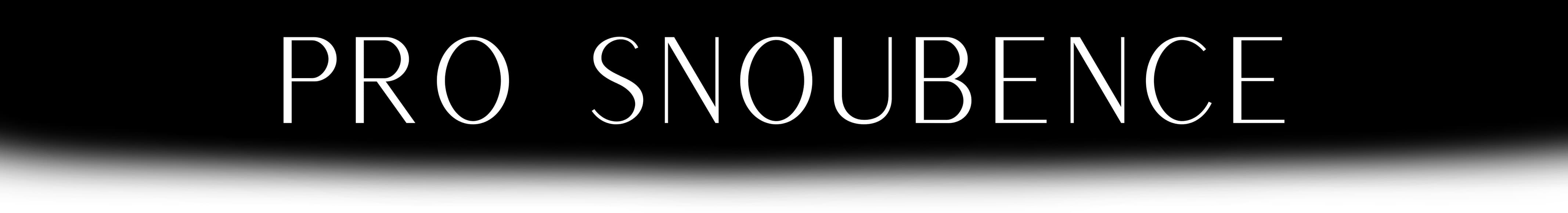 pro-snoubence-baner