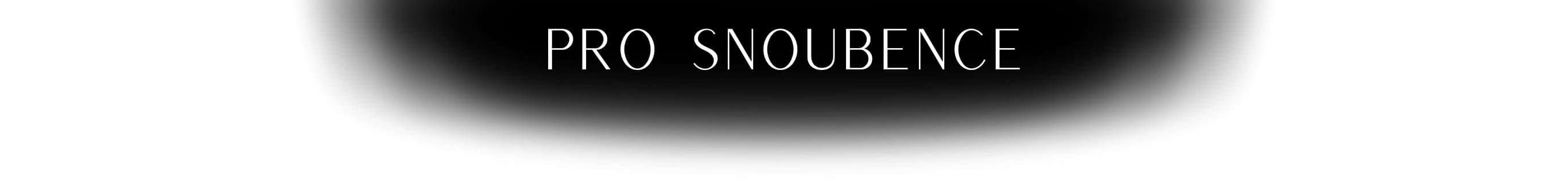 pro-snoubence-deskop